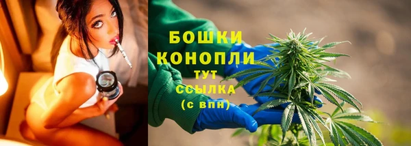 ПСИЛОЦИБИНОВЫЕ ГРИБЫ Алексеевка